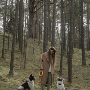 Private dog behaviour consultation